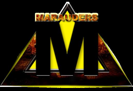 Andrew Midnight Marauders Banner