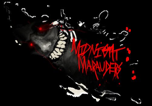 Gallagher Midnight Marauders Banner