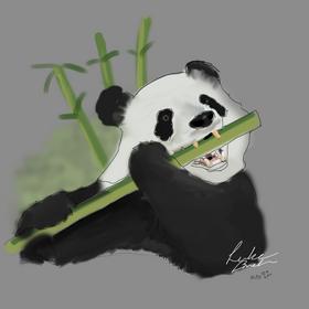 Panda - Lewk