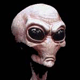 Skallywag's Avatar