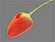 learania's Avatar