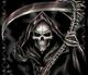 SoulReaper1995's Avatar