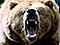 BearArms's Avatar