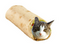 BurritoCat