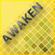 Awaken's Avatar