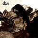 dcn's Avatar